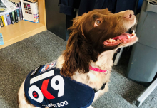 Wellbeing And Trauma Support Dog Assists Police