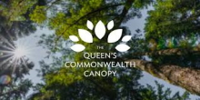 Suggestions Requested For Community Tree Planting