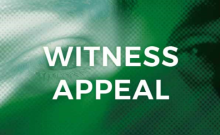 Witness Appeal - Attempted Burglaries And Theft